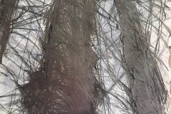 3a130fc8-8492-4cc0-8195-264564d7a6a9