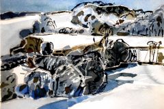 Winter-landscapes-2021000-small
